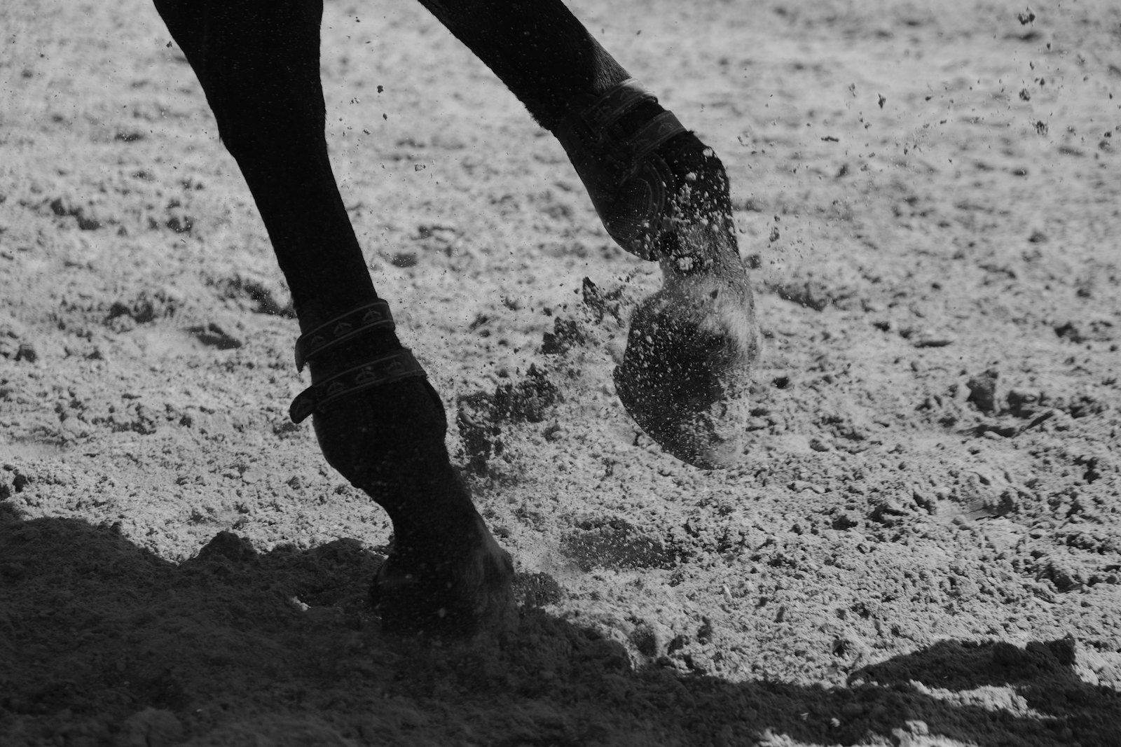 A horse's lower limbs striking sand at speed